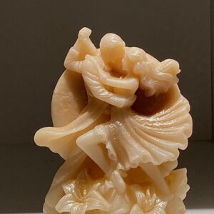 kidney beans organic